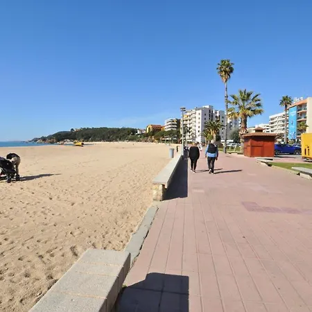 Planiol * Lloret de Mar