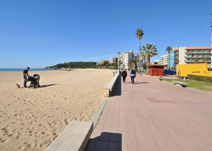 Planiol * Lloret de Mar